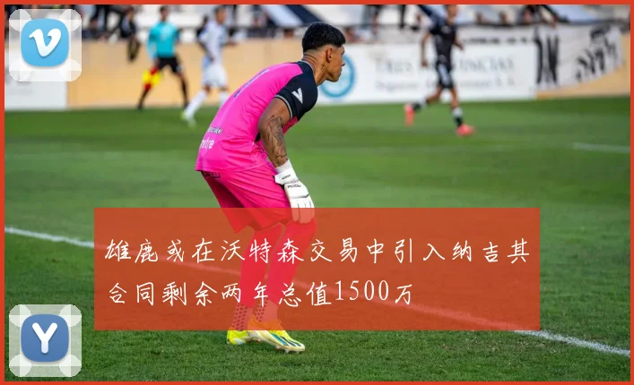 雄鹿或在沃特森交易中引入纳吉其合同剩余两年总值1500万